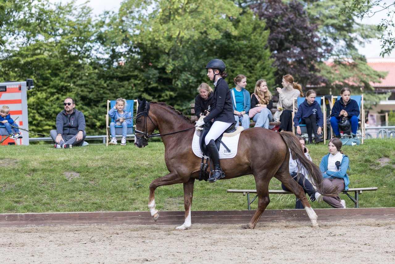 Bild 524 - Pony Akademie Turnier